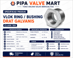Vlok Ring / Bushing Drat Galvanis Class 150 2-1/2" - 4" - Image 2