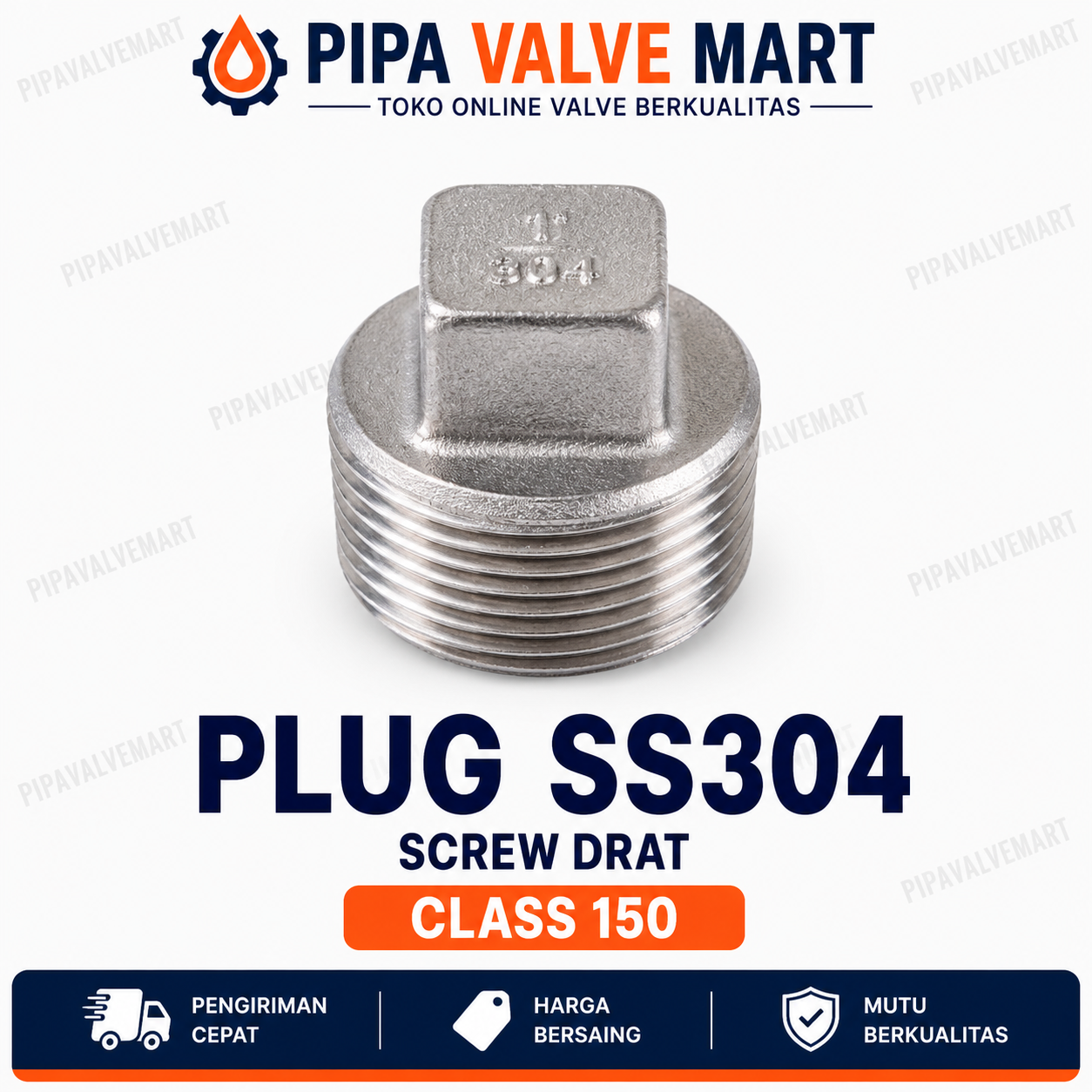 image11 Plug SS304 Class 150 BSPT - Image 1