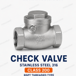 Check Valve SS316 Class 200 BSPT