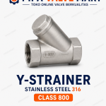 Y-Strainer SS316 Class 800 BSPT